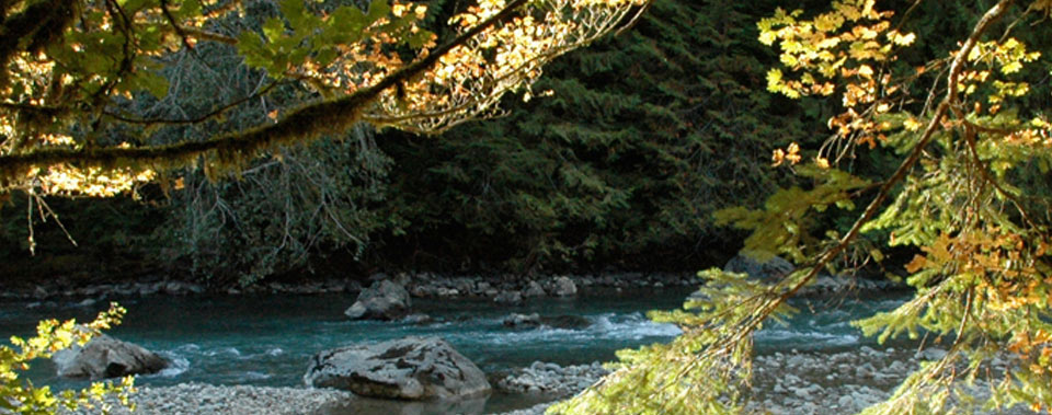 Mt. Baker is more than just deep snow.  Enjoy this world class secret destination all four seasons